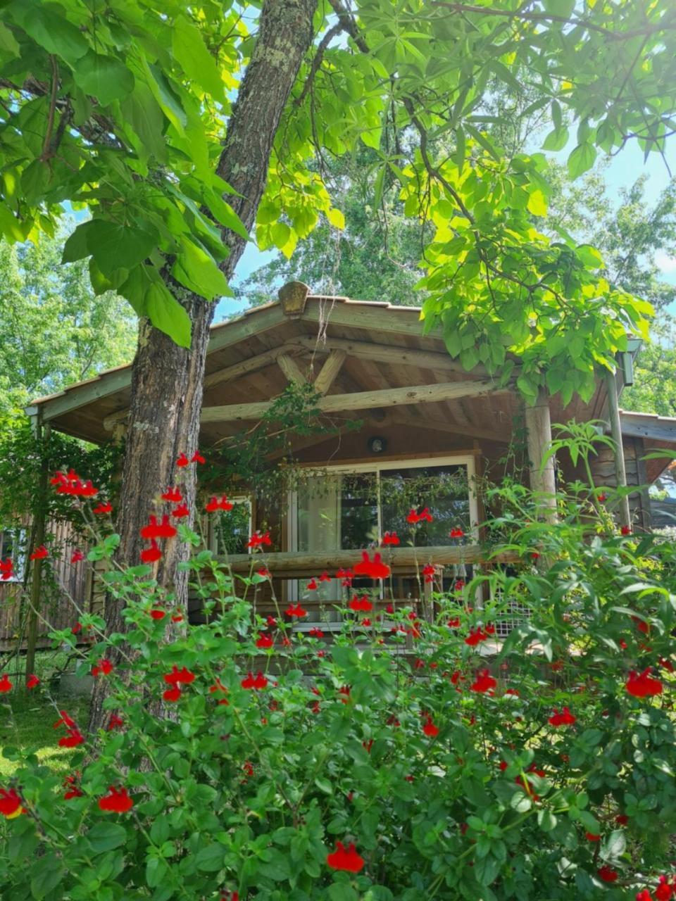 Camping Aux Couleurs Du Ferret Lège-Cap-Ferret Dış mekan fotoğraf
