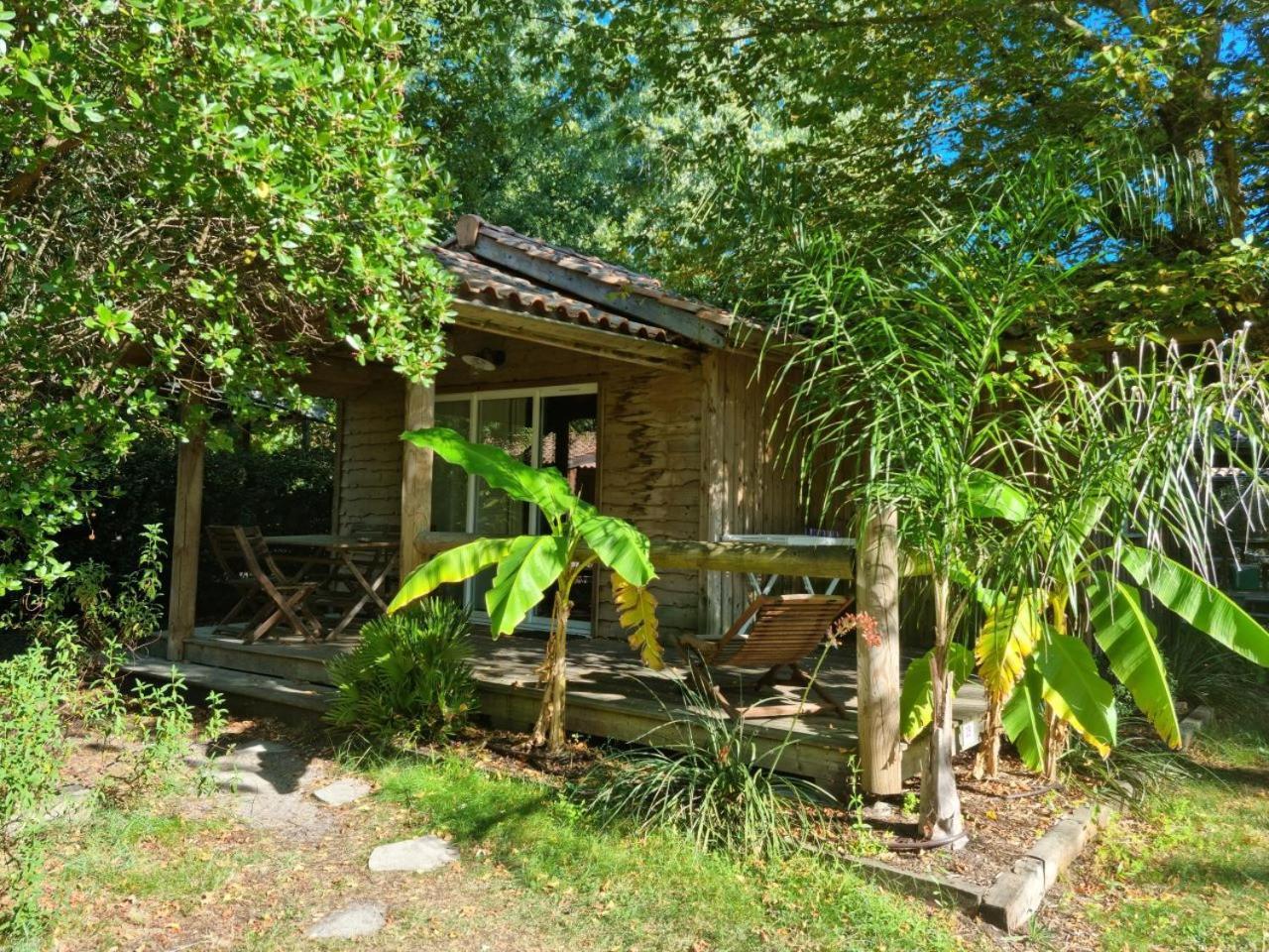 Camping Aux Couleurs Du Ferret Lège-Cap-Ferret Dış mekan fotoğraf