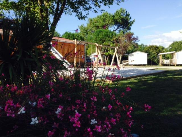 Camping Aux Couleurs Du Ferret Lège-Cap-Ferret Dış mekan fotoğraf
