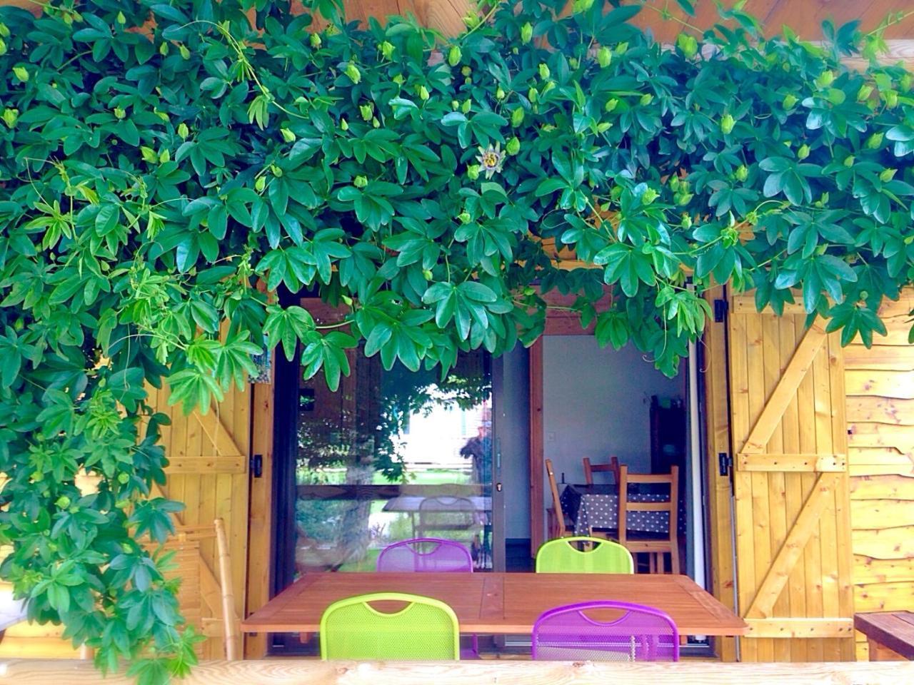 Camping Aux Couleurs Du Ferret Lège-Cap-Ferret Dış mekan fotoğraf